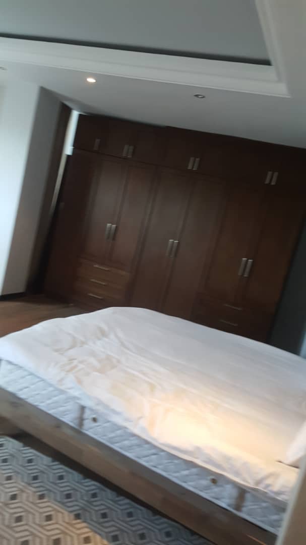 2 Bedroom Furnished Apartment For Rent At Kazanchis