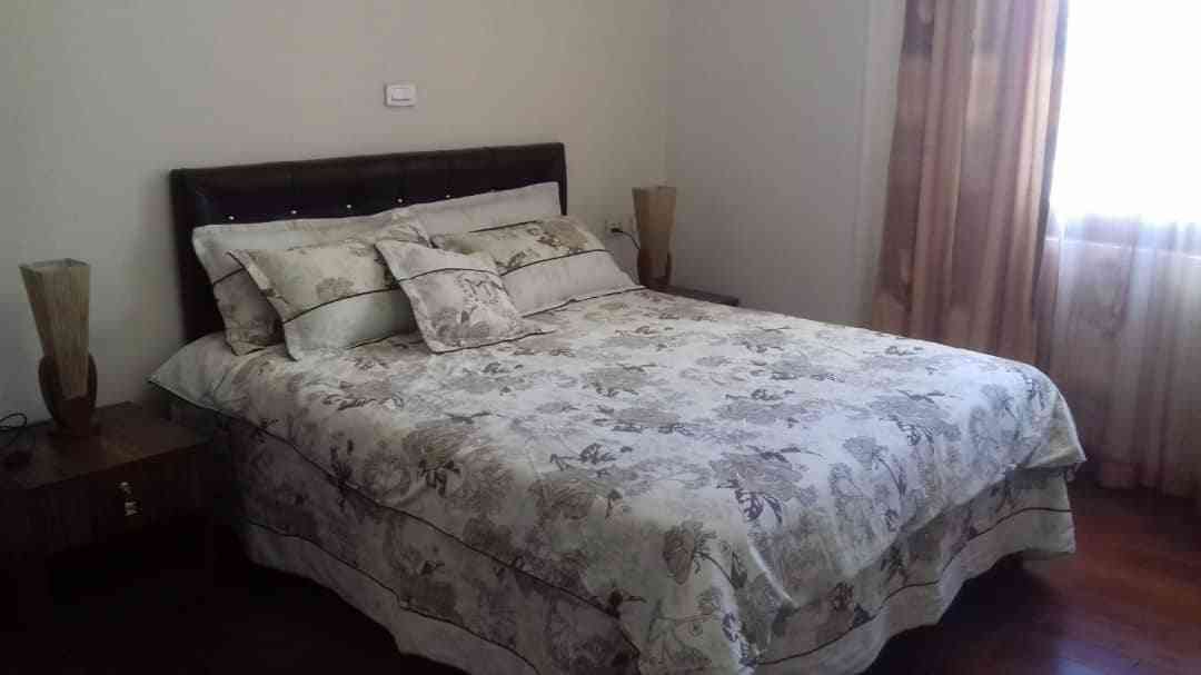 2 Bedroom Furnished Apartment At Kazanchis : ZG-10271: